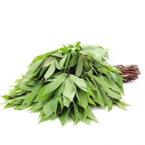 Feuille de manioc