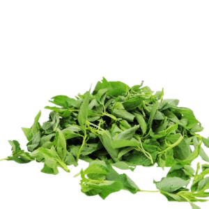 Feuille Adémè fraiche