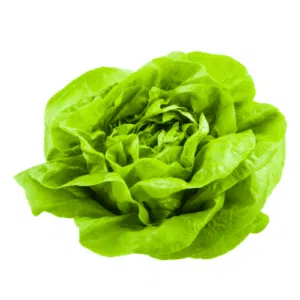Laitue